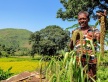 Cultivating Resilience: Indigenous Knowledge and Climate-Smart Agriculture