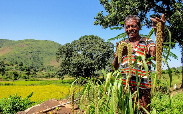 Cultivating Resilience: Indigenous Knowledge and Climate-Smart Agriculture