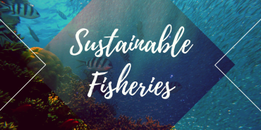 A Beacon of Hope: Innovative Solutions for Sustainable Fisheries