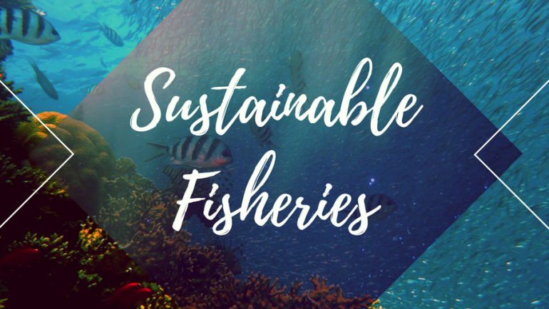 A Beacon of Hope: Innovative Solutions for Sustainable Fisheries