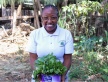 Cultivating Change: Empowering Women in Climate-Smart Agriculture