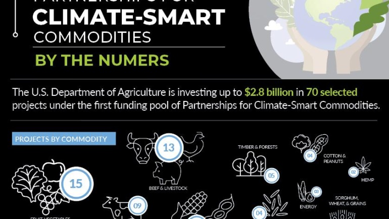 Building Partnerships: Fostering Collaboration for Climate-Smart Agriculture