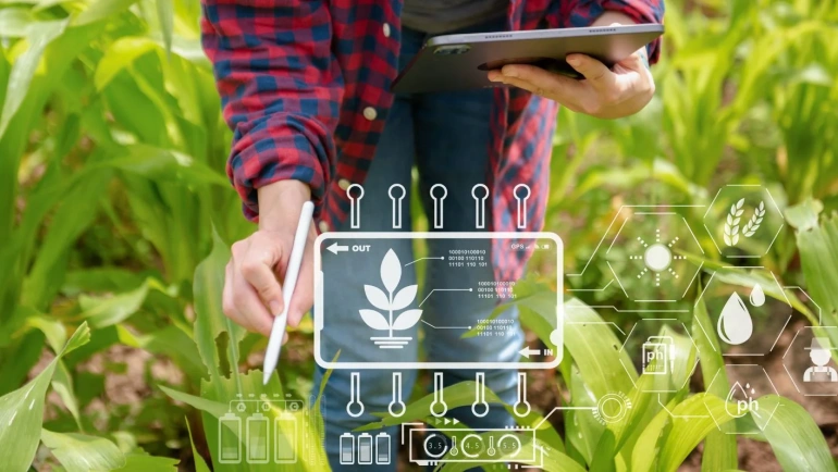 A Greener Future: Scaling Up Climate-Smart Agriculture Through Technology