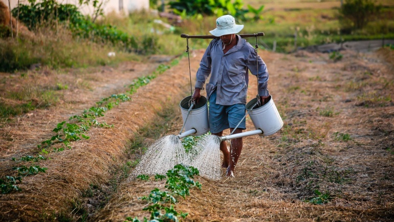 Investing in the Future: The Economic Benefits of Climate-Smart Agriculture