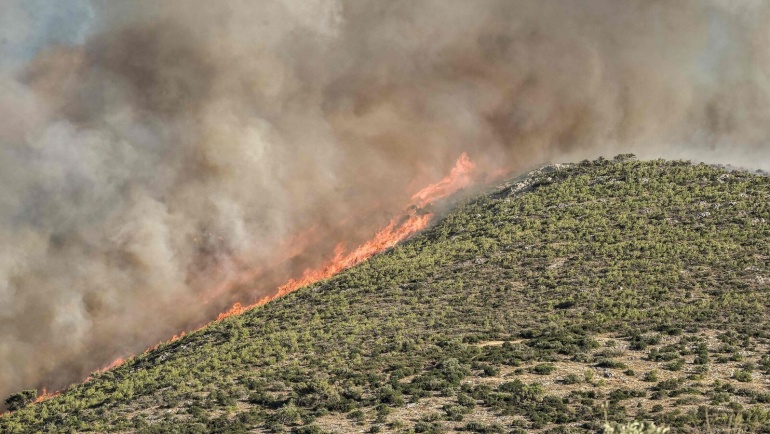 Heatwaves and Wildfires: A Summer of Extremes Highlights the Urgency of Climate Action