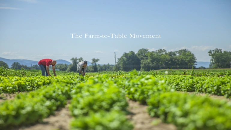 From Farm to Table: How Sustainable Agriculture Can Combat Climate Change