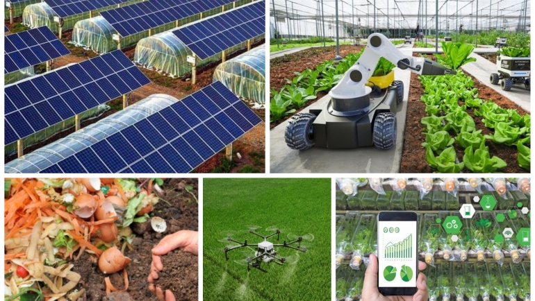 Financing Climate-Smart Agriculture: Mobilizing Resources for a Sustainable Future